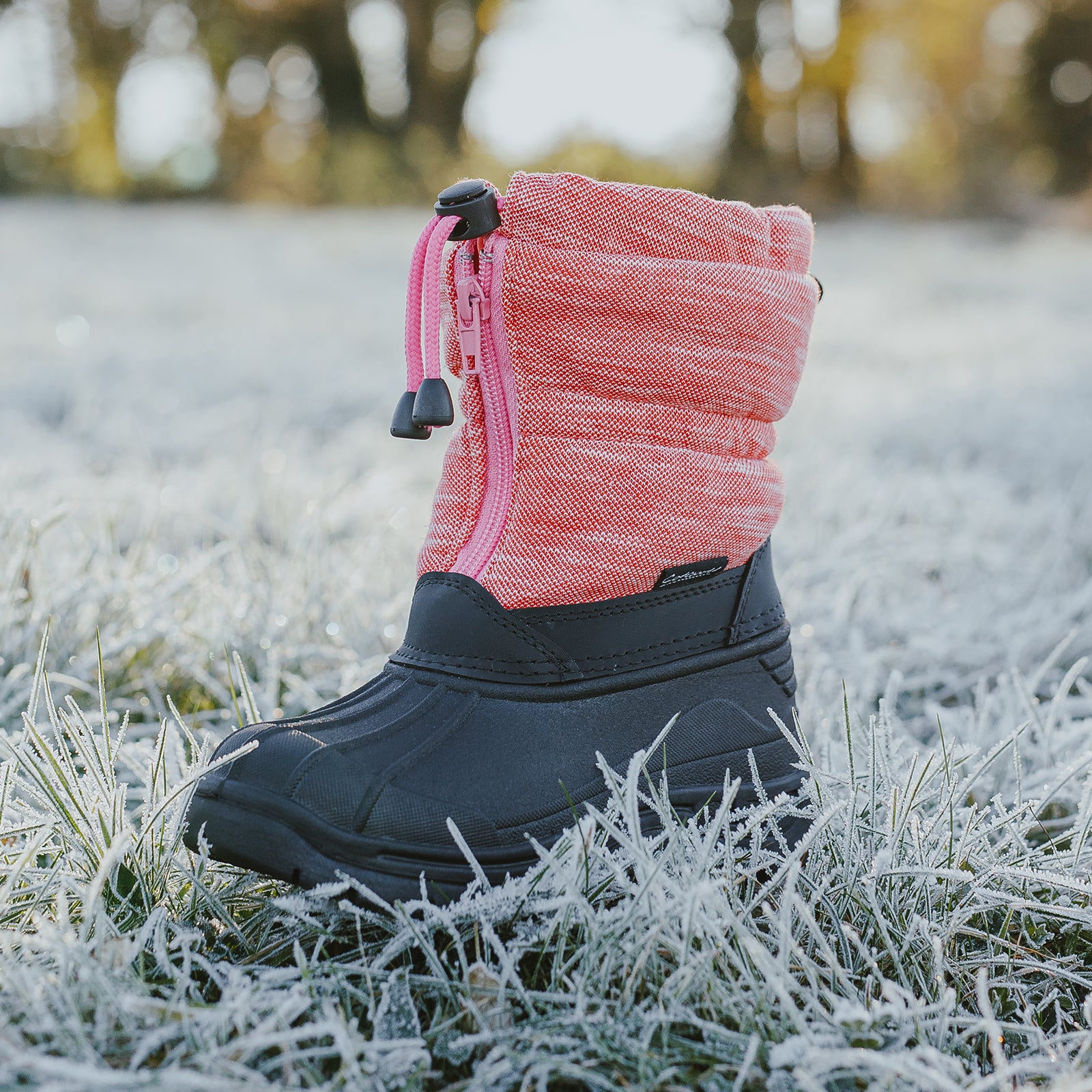 A Cotswold Bathfords Wellington in berry on frost covered grass