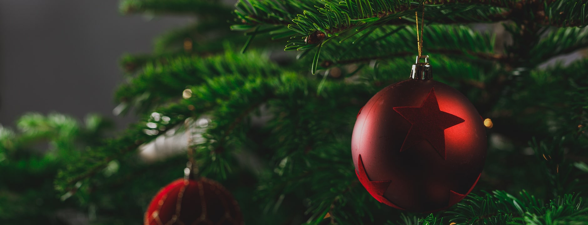 Close-up image of a Christmas tree with red baubles hanging from it