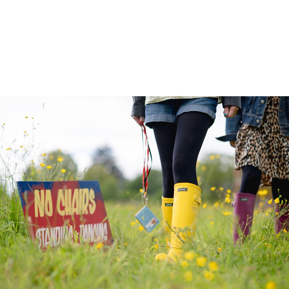 Sandringham Wellingtons Yellow